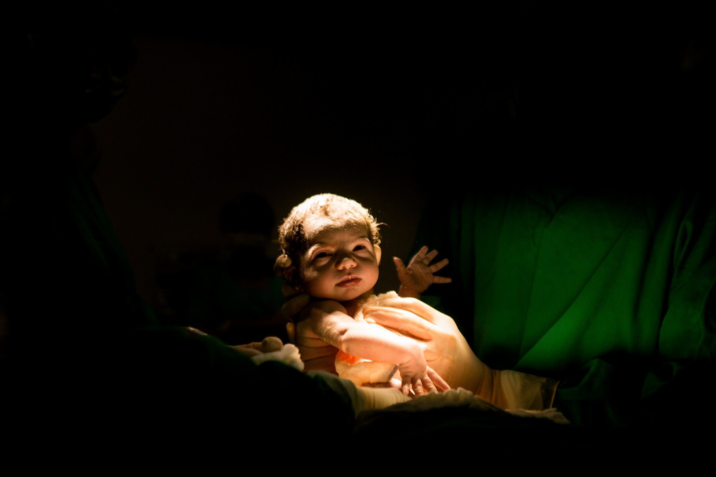 Foto de Camila Mendes Fotografia 5