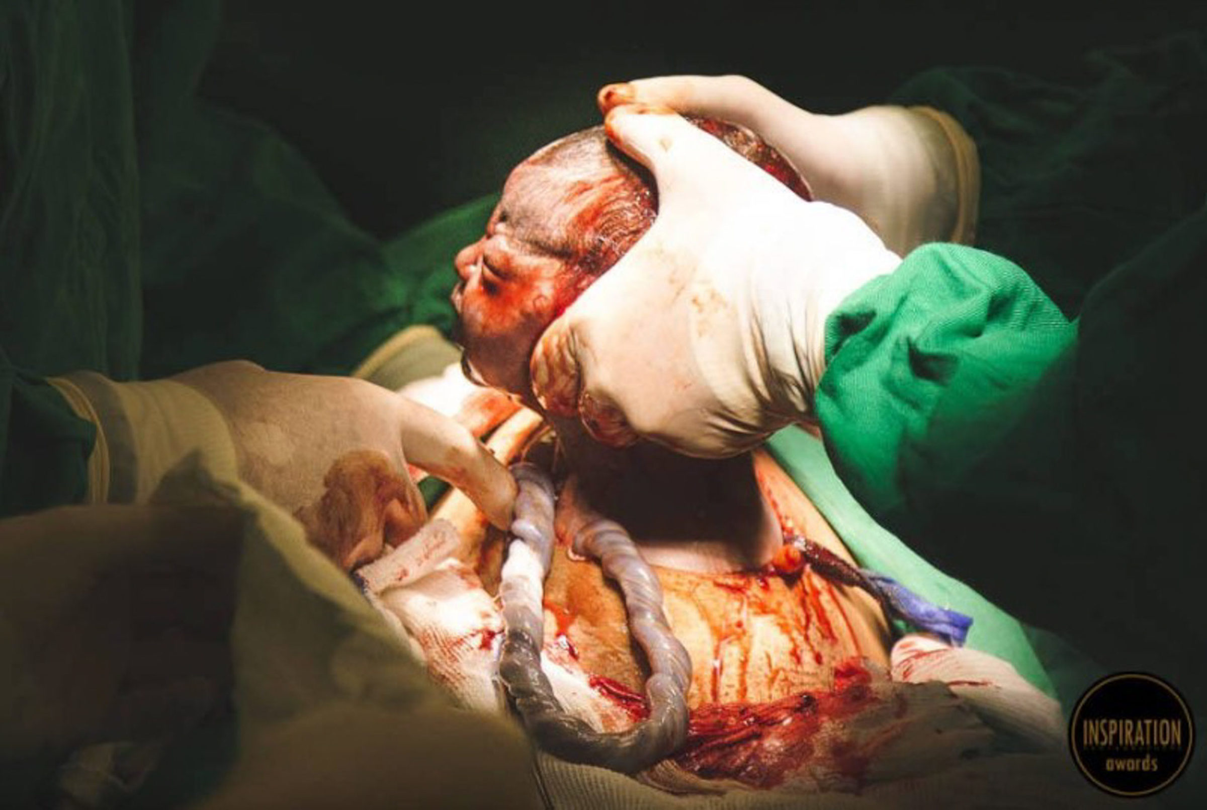 Foto de Camila Mendes Fotografia 18